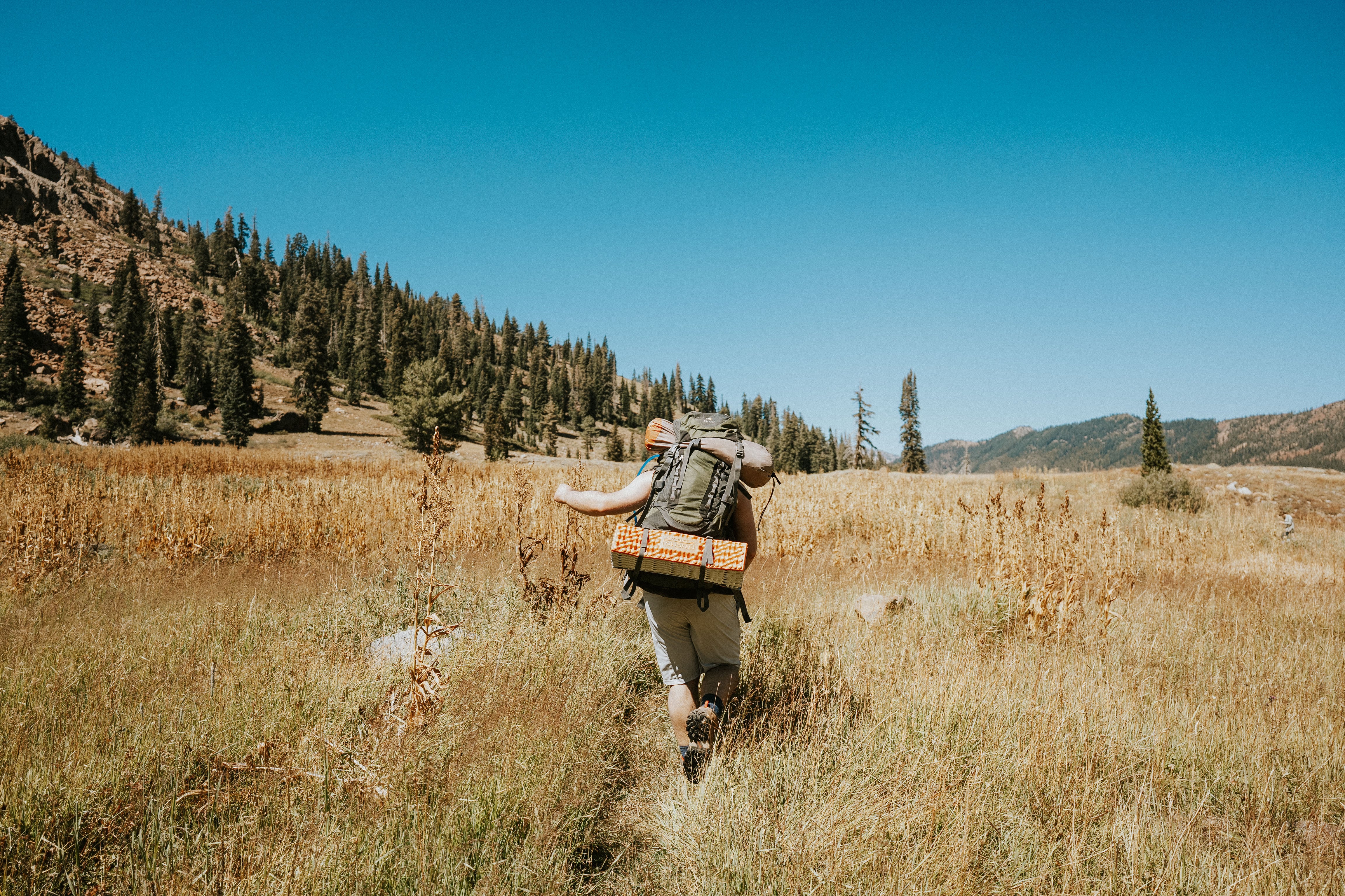 California wilderness hiking adventure